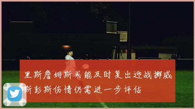 里斯詹姆斯或能及时复出迎战挪威斯彭斯伤情仍需进一步评估