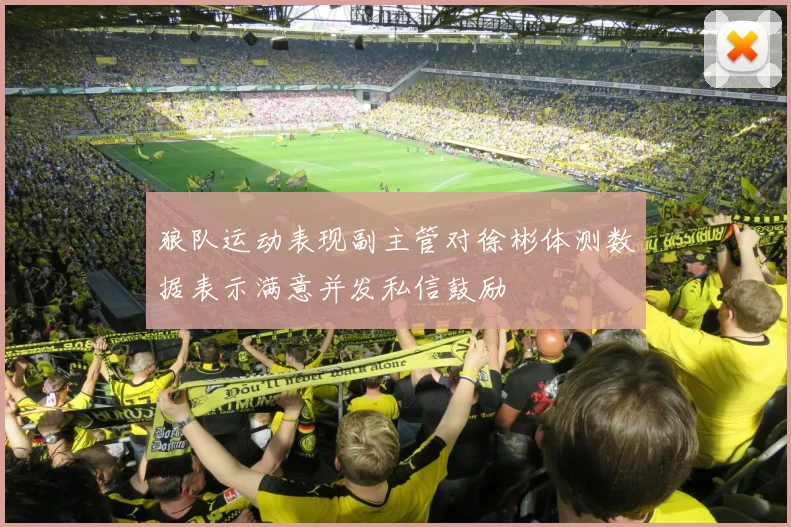 狼队运动表现副主管对徐彬体测数据表示满意并发私信鼓励